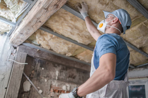 Best Insulation Repair Services  in Rifle, CO