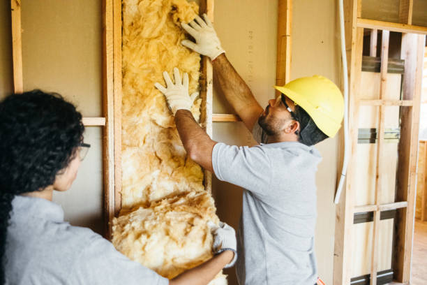 Best Commercial Insulation Contractor  in Rifle, CO