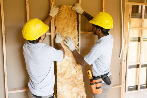 Best Energy-efficient Insulation  in Rifle, CO