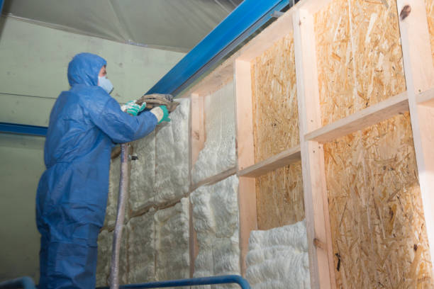 Best Home Insulation Services  in Rifle, CO